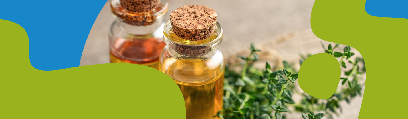 Thyme Essential Oil: Properties & Uses
