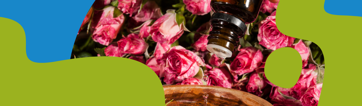 Rosewood Essential Oil: Benefits & Uses
