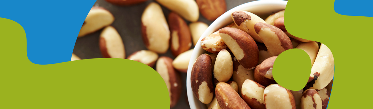 Brazil Nuts – Why They're Scarce & Worth It