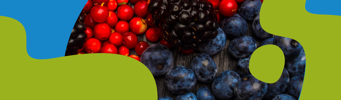 Resveratrol: Elixir of Youth or Overhyped?