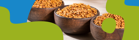 Fenugreek: Health Benefits, Properties & Uses Guide