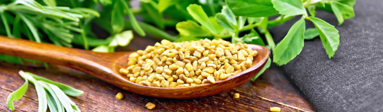 Fenugreek and its medicinal use